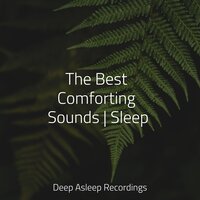 Sunrise - Rain for Deep Sleep & Música De Relajación Para Dormir Profundamente & Sleep Sound of Nature