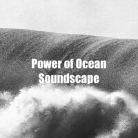 Power of Ocean Soundscape - Ocean Noises
