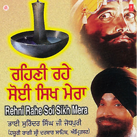 Hum Eh Kaaj Jagat Mo Aaye - Bhai Surinder Singh