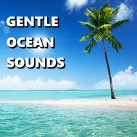 Modest Sandy Ocean Waves - Deep Sleep
