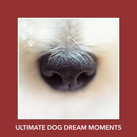 Whispering Earthling - Dog Chill Out Music
