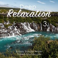 Bubbly Tranquil Water Stream Soundscape, Pt. 14 - Craig Hewitt