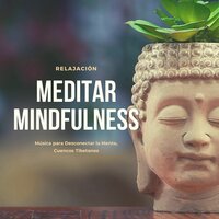Sesión de Meditación - Entrenador Personal del Alma