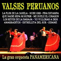 Nube Gris - La Gran Orquesta Panamericana