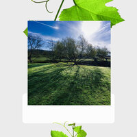 Calm Staying Well - Morning Coffee Playlist