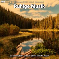 Ruhige Musik pt. 19 - Entspannungsmusik Elfi Niel & Schlafmusik & Entspannungsmusik
