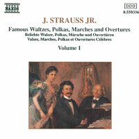 Auf der Jagd, Op. 373: Auf der Jagd Polka, Op. 373 - Slovak Radio Symphony Orchestra & Иоганн Штраус-сын