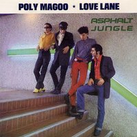 Poly Magoo - Asphalt Jungle