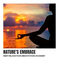 Gentle Stream - Deep Relaxation Meditation Academy
