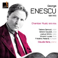 Nocturne et saltarello pour violoncelle et piano: Vivace - Justus Grimm & Claudia Bara & Джордже Энеску
