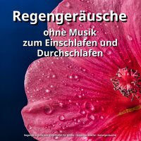 Mai - Regengeräusche zum Einschlafen für Kinder & Regengeräusche & Naturgeräusche