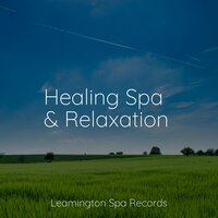 Gentle Sleep - Spa Music Relaxation & Deep Sleep & Water Soundscapes