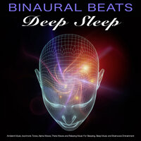 Deep Sleep Playlist - Binaural Beats Sleep & Binaural Beats Library & Binaural Beats Deep Sleep