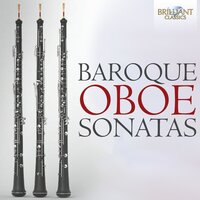 Sonata No. 3 in C, FXV, RV 48: IV. Allegro - Ensemble J.M. Anciuti & Антонио Вивальди