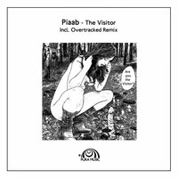 The Visitor - PIAAB
