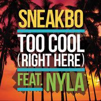 Too Cool (Right Here) - Sneakbo & Nyla