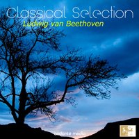 Symphony No. 4 in B-Flat Major, Op. 60: III. Allegro vivace - Anton Nanut & Radio Symphony Orchestra Ljubljana & Ludwig van Beethoven