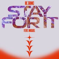 Stay For It - RL Grime & Miguel