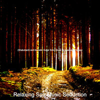 Artistic Music for Contemplating - Relaxing Spa Music Seduction