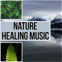 Healing Sleep Music - Ministry of Relaxation Music