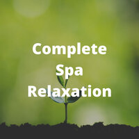 Silent Moments - Relaxing Asian Spa Music
