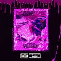 Bleed the Block - DJ Slim K & Rudeboy Bambino