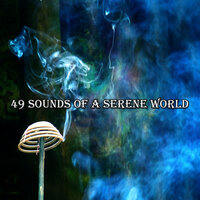 Celebration Of Life - Forest Sounds