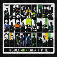 Для тебя - Звери