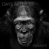 Vanish - Primate