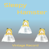 Nice looking - Vintage Record