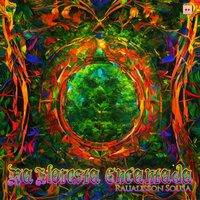 Eu Sou Feliz - Raualisson Sousa & REC'n'Play