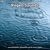 Regen Sounds, pt. 24 - Regengeräusche zum Einschlafen Franco Rodewig & Regengeräusche & Naturgeräusche