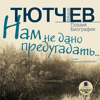 Федор Тютчев. «Нам не дано предугадать…». Часть 38 - Владимир Самойлов