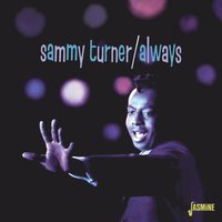 Raincoat in the River - Sammy Turner