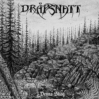 I denna skog - Dråpsnatt