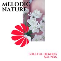 Nature Devotion - Spa Music Paradise