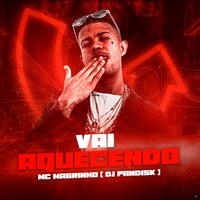 Vai Aquecendo - DJ Pandisk & Mc Magrinho