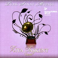 Beni Sev - Ziya Taşkent