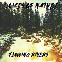 Moment 16 Flowing Rivers - Voices of Nature