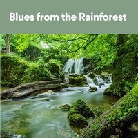 Pollenation - Rainforest Sounds