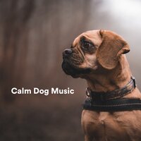 Morning Breeze - Music for Calming Dogs & Music for Leaving Dogs Home Alone & Sleepy Dogs