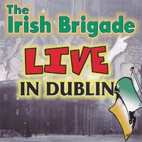 Willie and Danny - The Irish Brigade