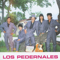 Lupita La Cumbianera - Los Pedernales