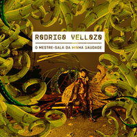 Não canto em vão - Rodrigo Vellozo