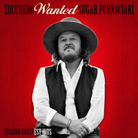 Pana - Zucchero