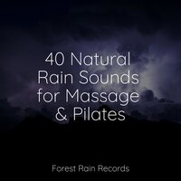 Camping by the Fire - Music For Absolute Sleep & Relaxamento & Música de la Naturaleza