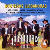 Amor De Unas Horas - Los Labradores del Naranjo