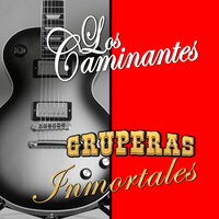 Botellitas De Licor - Los Caminantes