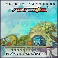 Wingspan - Birds of Paradise & Kaya Project