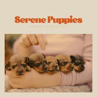 Tide Chasers Boys and Girls - Spa Music For Dogs